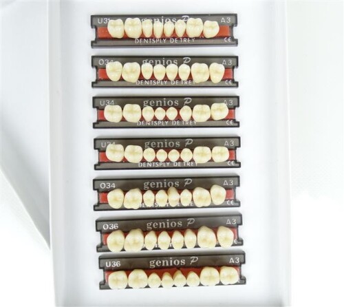 Dentsply Genios P A3 Seitenzähne Kunststoffzähne Zahngarnitur